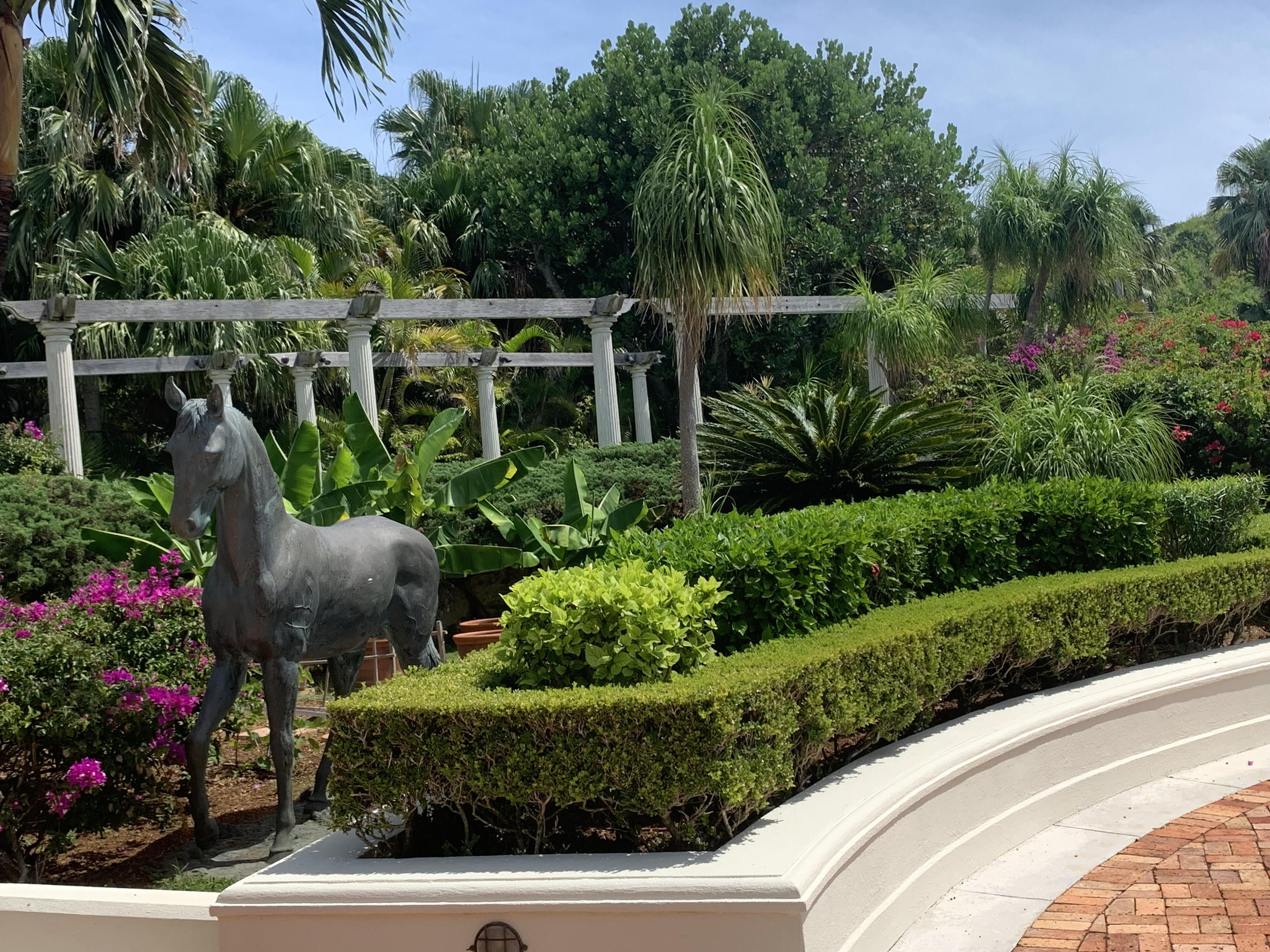 Landscape Client hedges 