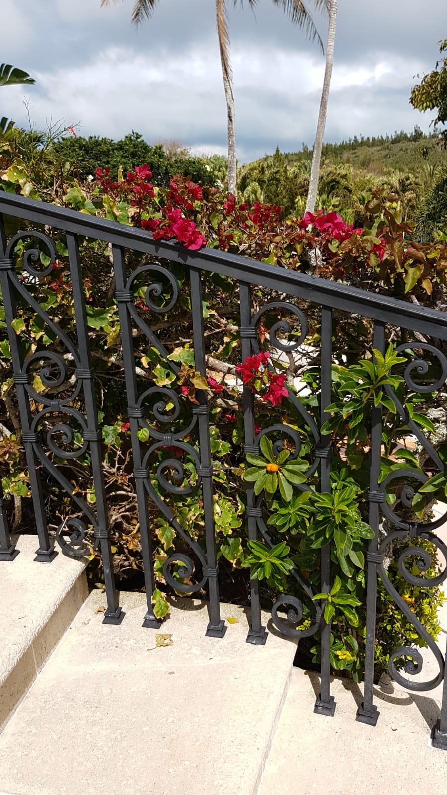 Stairs_rail_trees